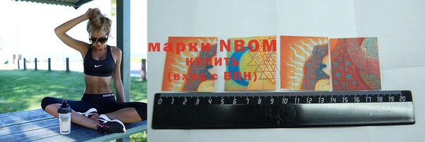 apvp Алзамай