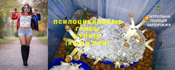 apvp Алзамай