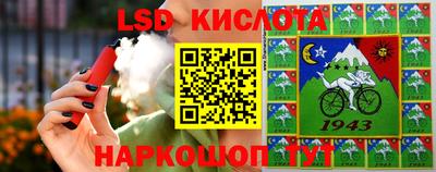 бошки Камышлов