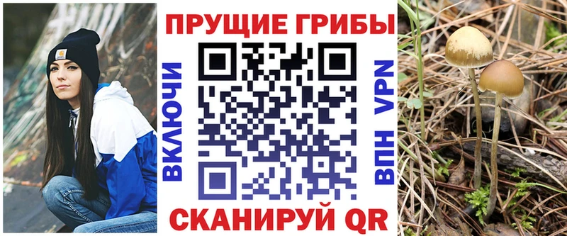 Галлюциногенные грибы прущие грибы Миллерово