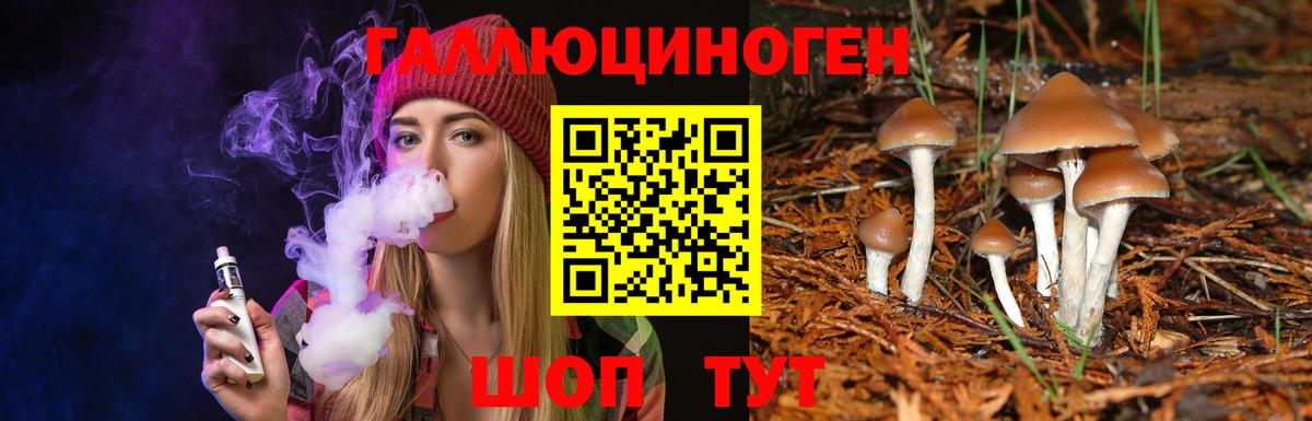 Псилоцибиновые грибы Psilocybe Миллерово